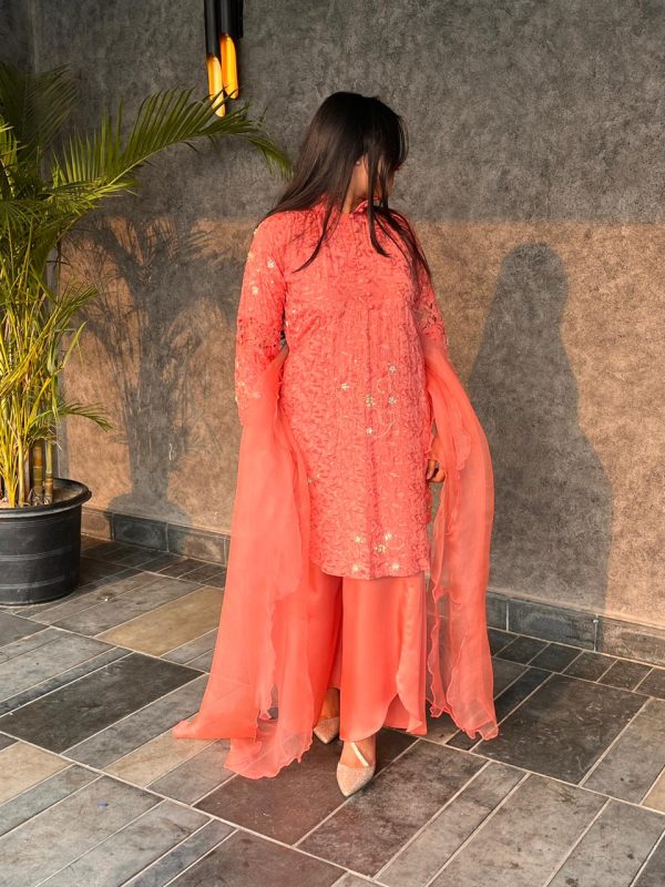 WhatsApp Image 2025-11-26 at 4.10.52 PM (1)